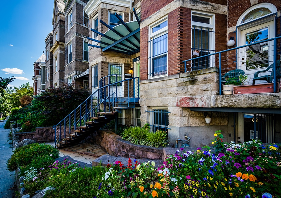 beautiful neighborhood with flowers